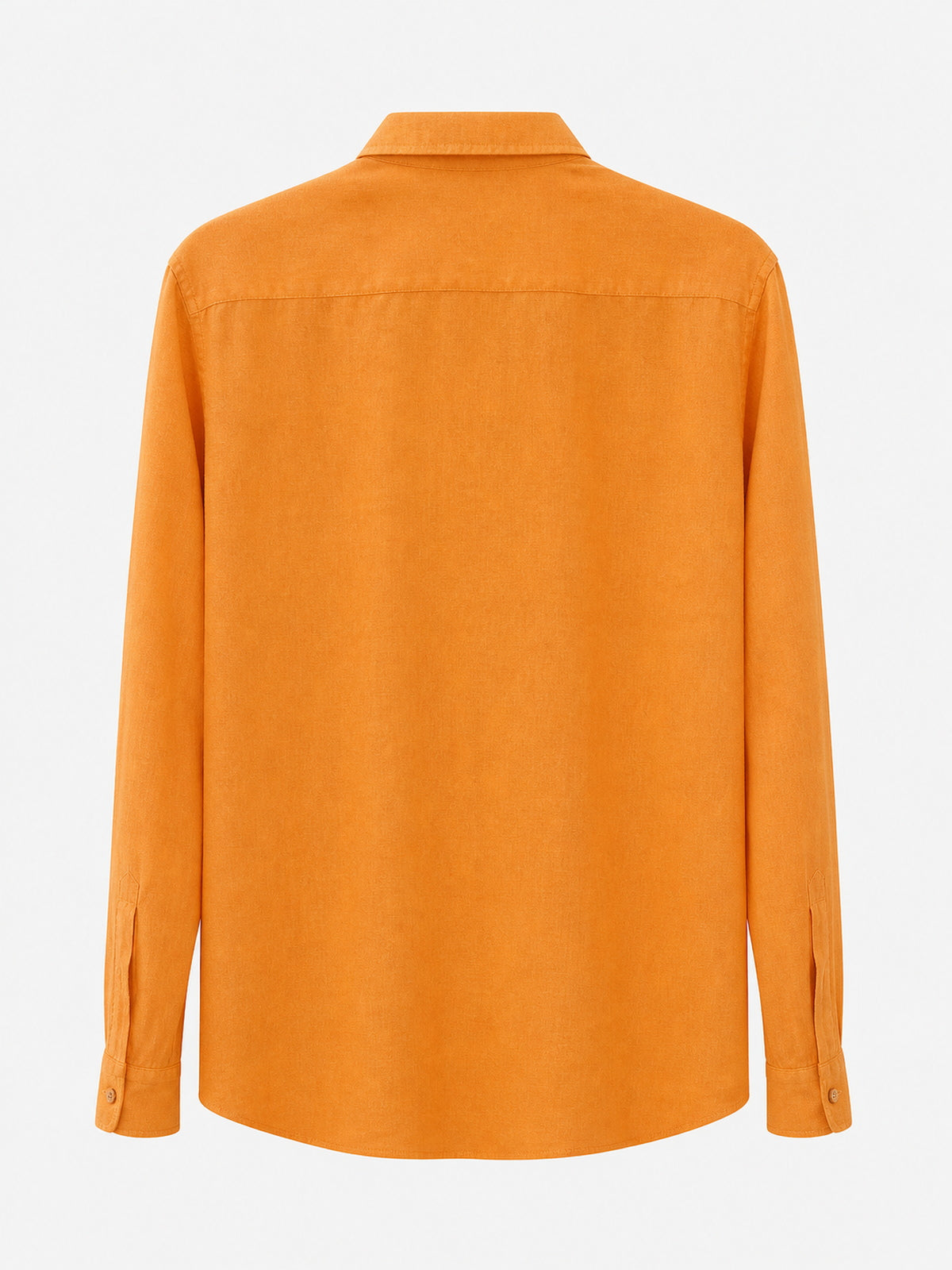Andrea Classic Button-Up Shirt